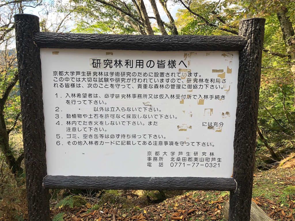 f:id:kamemochi:20201105172002j:image