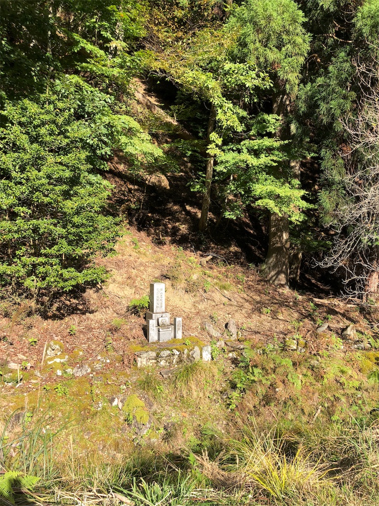 f:id:kamemochi:20201106180847j:image