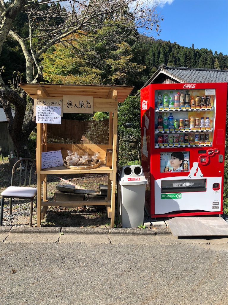 f:id:kamemochi:20201106180850j:image