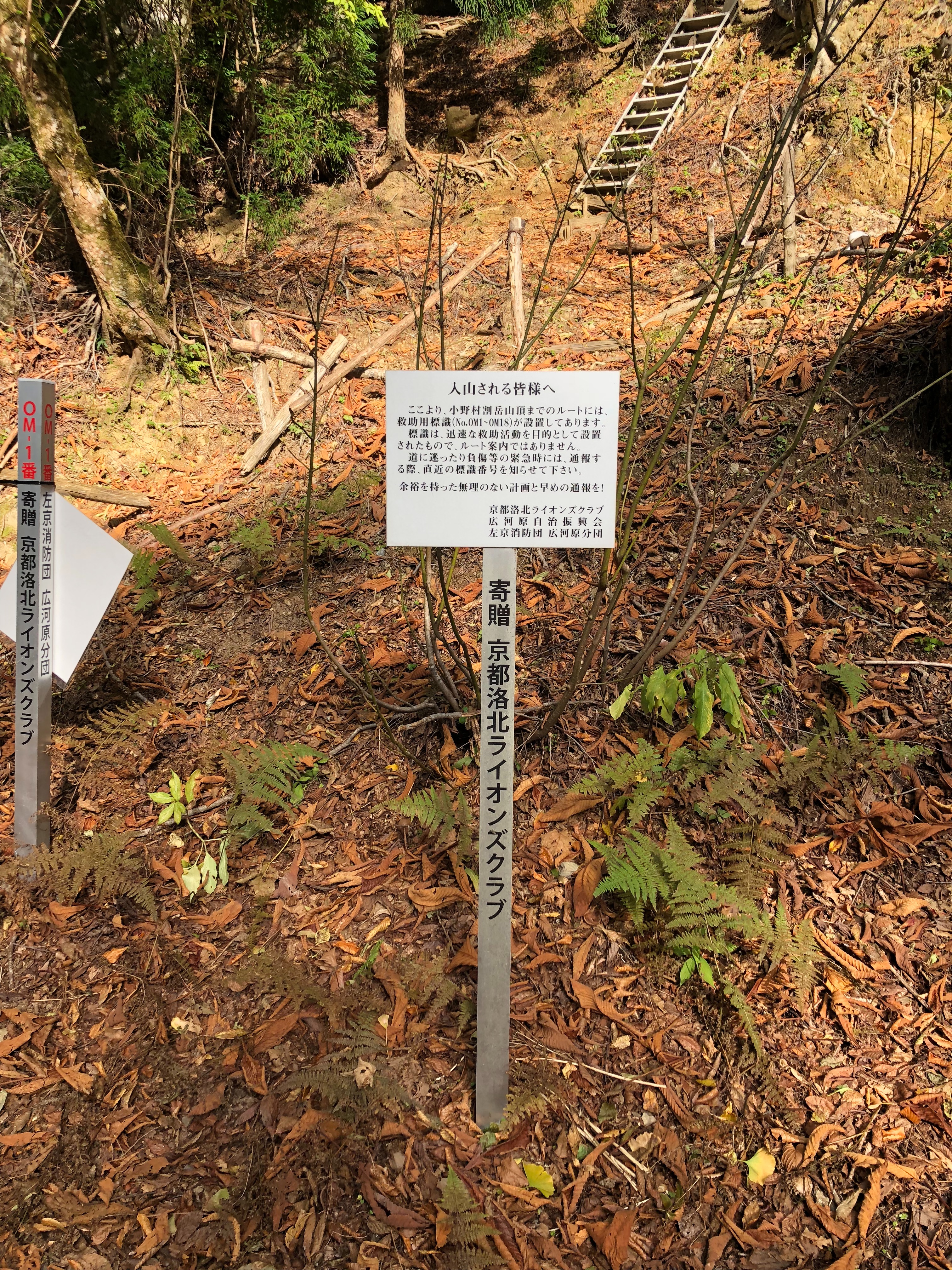 f:id:kamemochi:20201106180853j:image