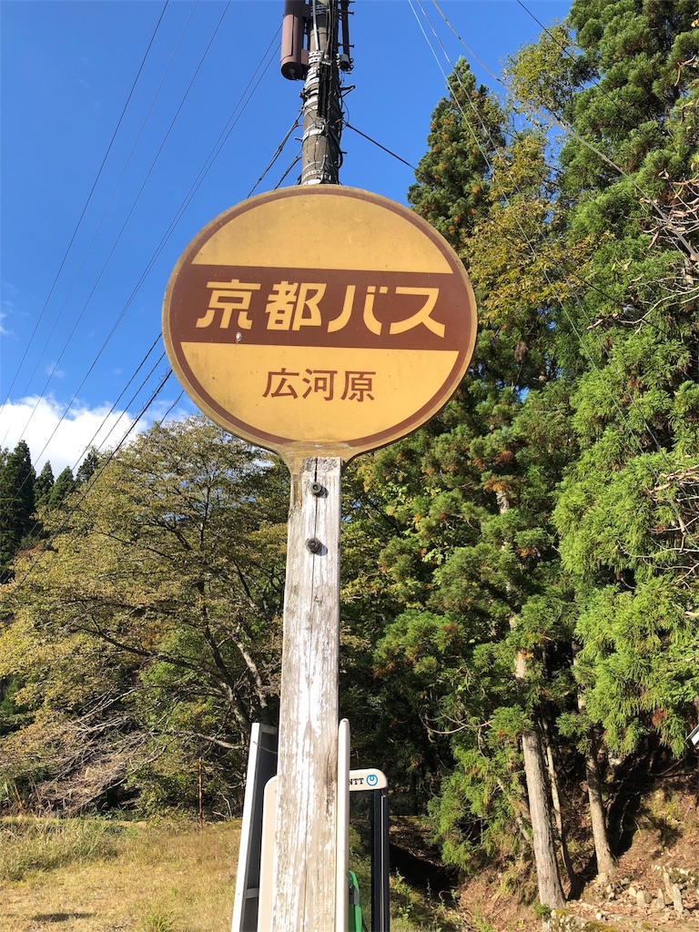 f:id:kamemochi:20201106185016j:image