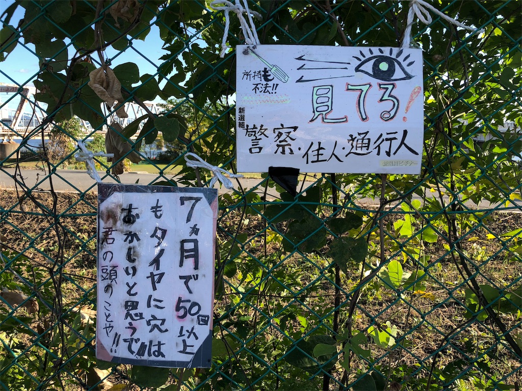 f:id:kamemochi:20201122171343j:image