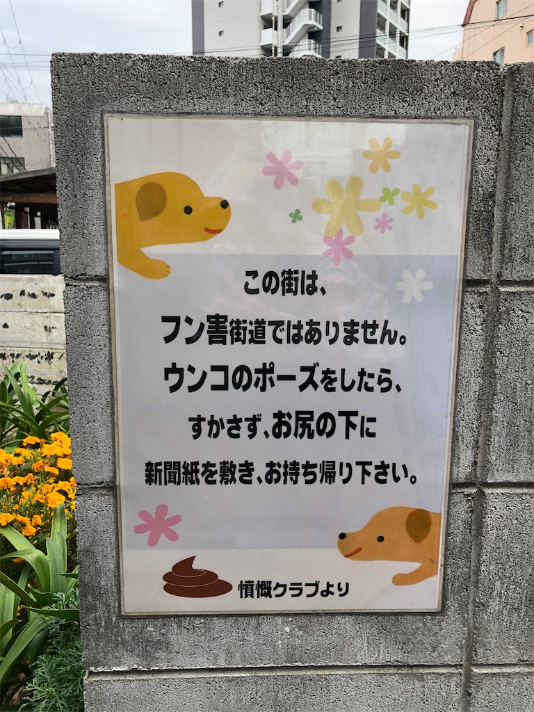 f:id:kamemochi:20201129011316j:image