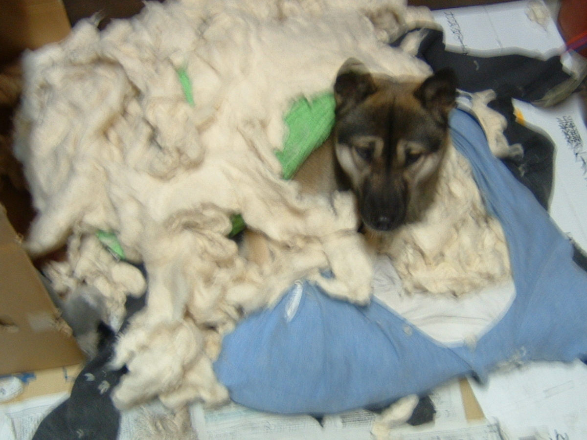 f:id:kamemochi:20201129213641j:plain