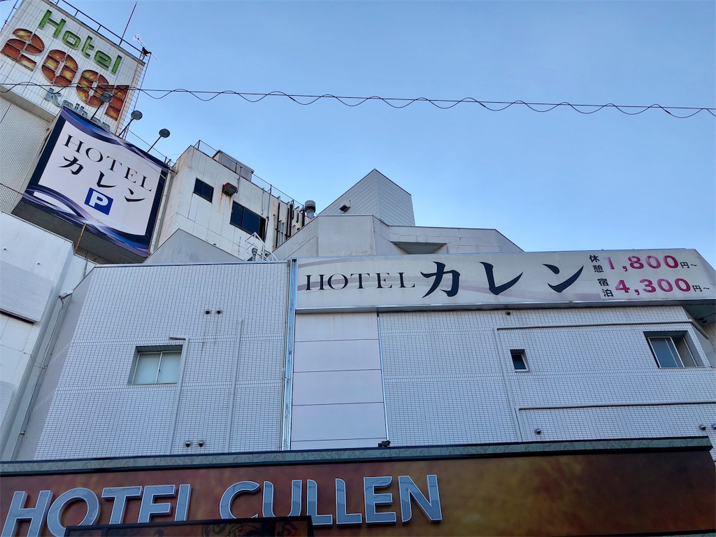 f:id:kamemochi:20201206111435j:image