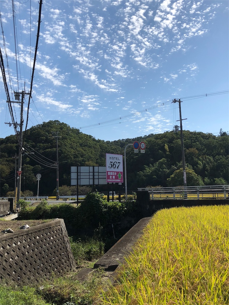 f:id:kamemochi:20201209142020j:image