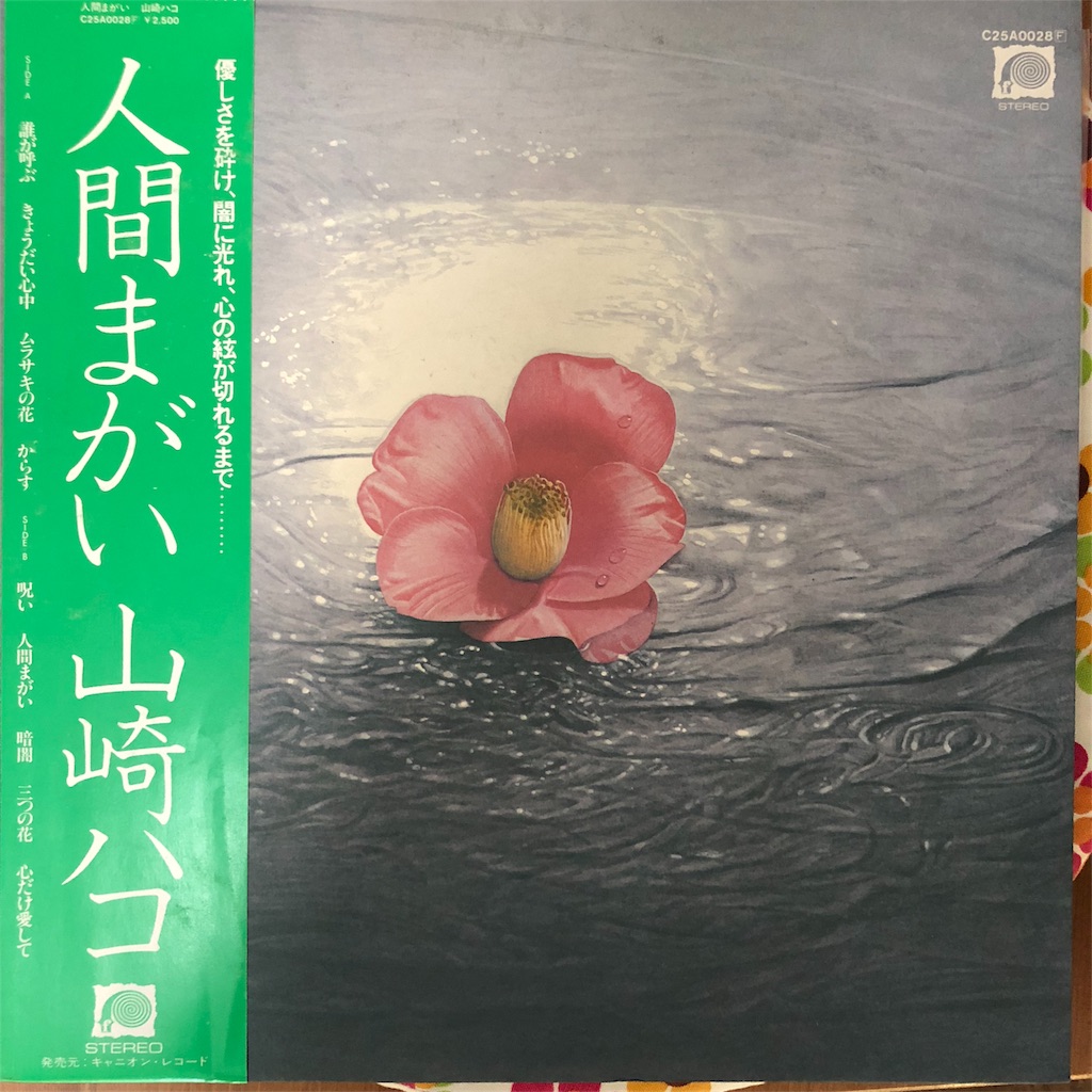 f:id:kamemochi:20201230233142j:image