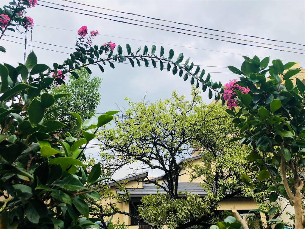 f:id:kamemochi:20201230233214j:image