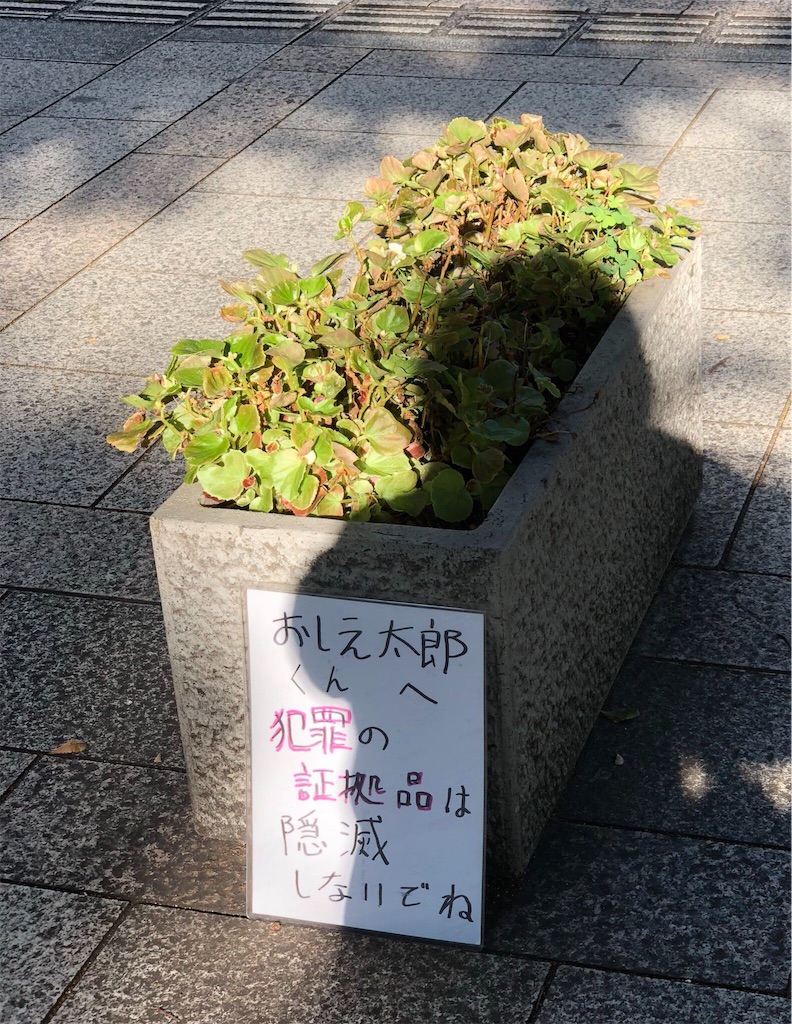 f:id:kamemochi:20201230233227j:image