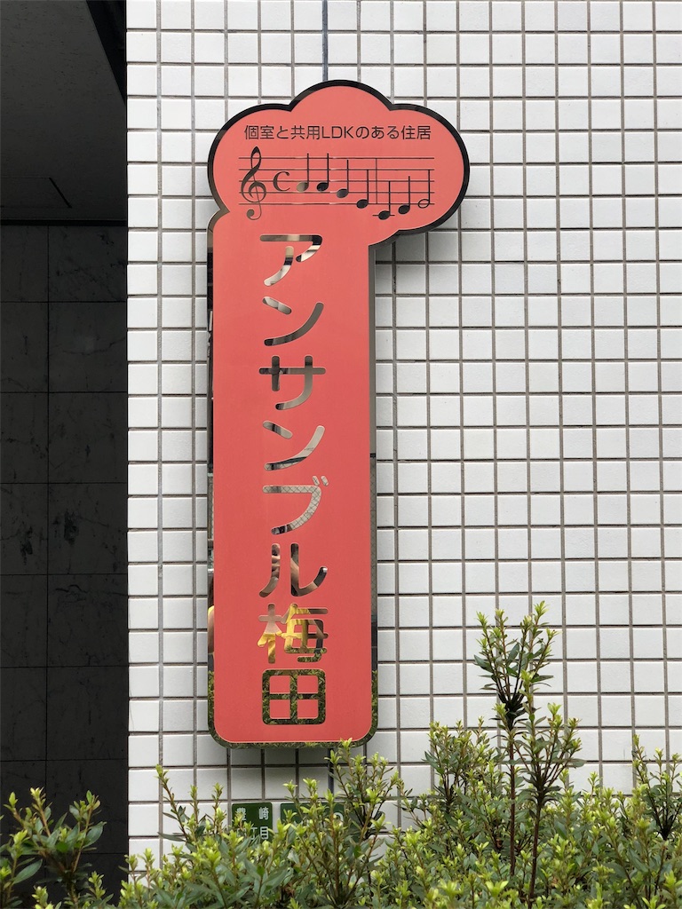 f:id:kamemochi:20201230233904j:image