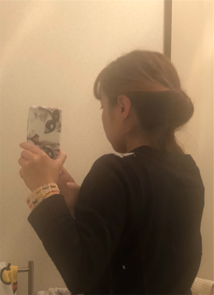 f:id:kamemochi:20201230234000j:image
