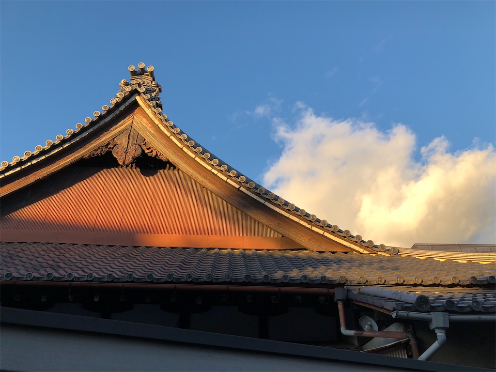 f:id:kamemochi:20210104095820j:image f:id:kamemochi:20210104095820j:image