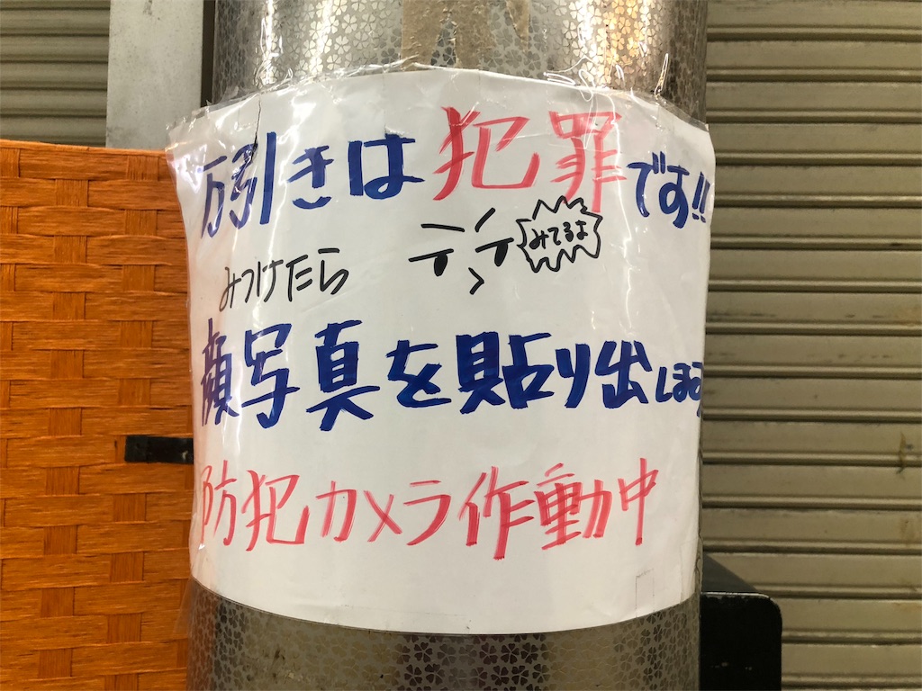 f:id:kamemochi:20210216142437j:image