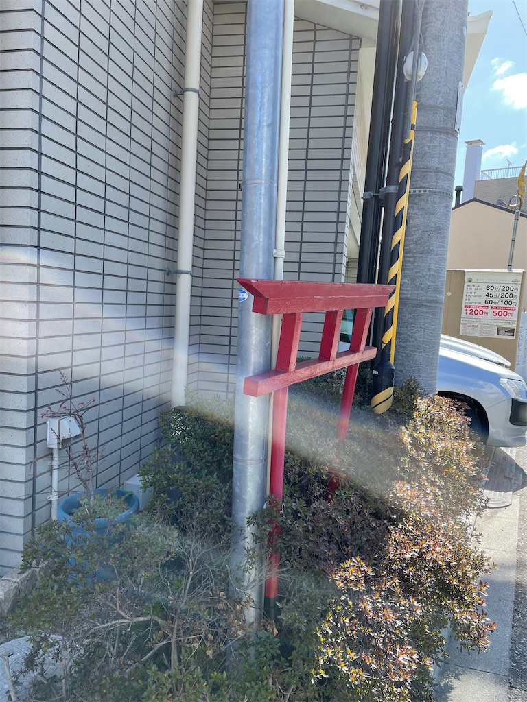 f:id:kamemochi:20210319212239j:image