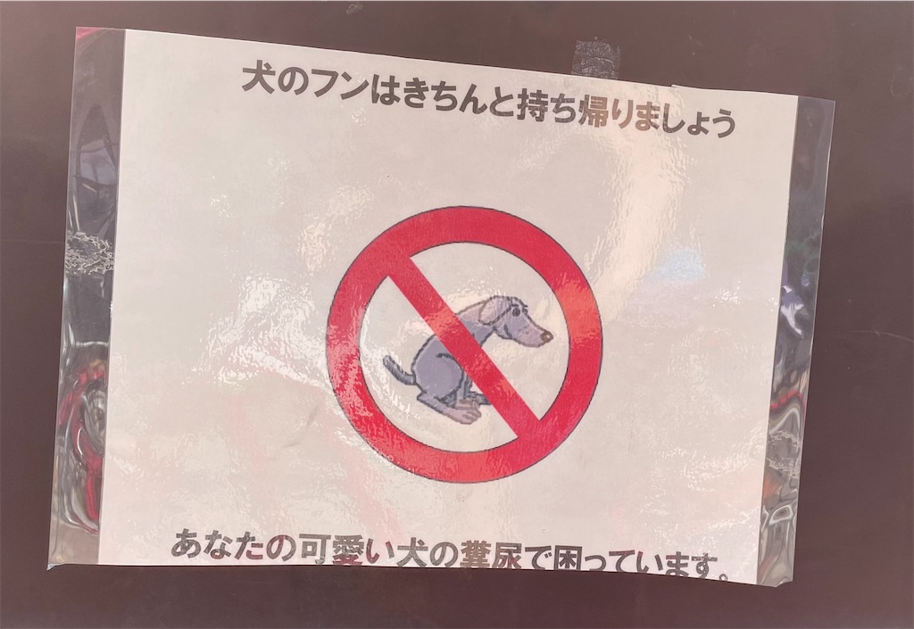 f:id:kamemochi:20210610152836j:image