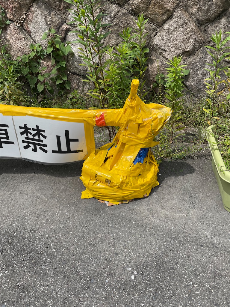 f:id:kamemochi:20210610153048j:image