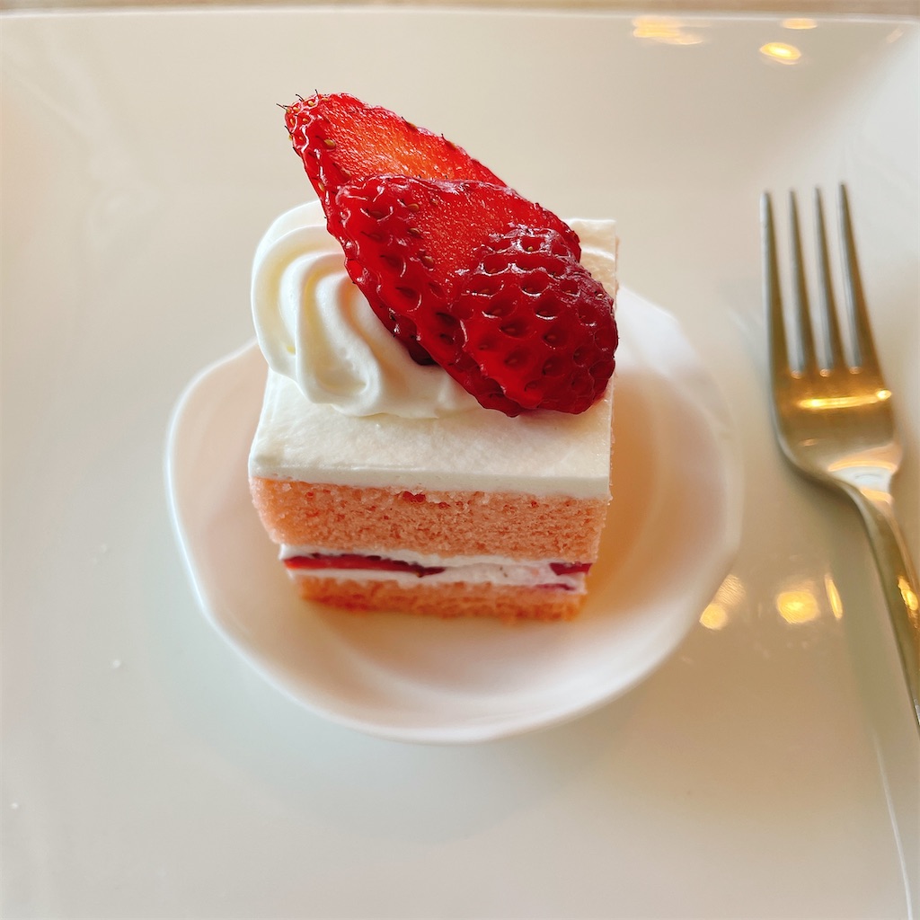 f:id:kamemochi:20210616211054j:image f:id:kamemochi:20210616211054j:image