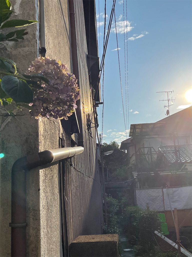 f:id:kamemochi:20210626043952j:image f:id:kamemochi:20210626043952j:image