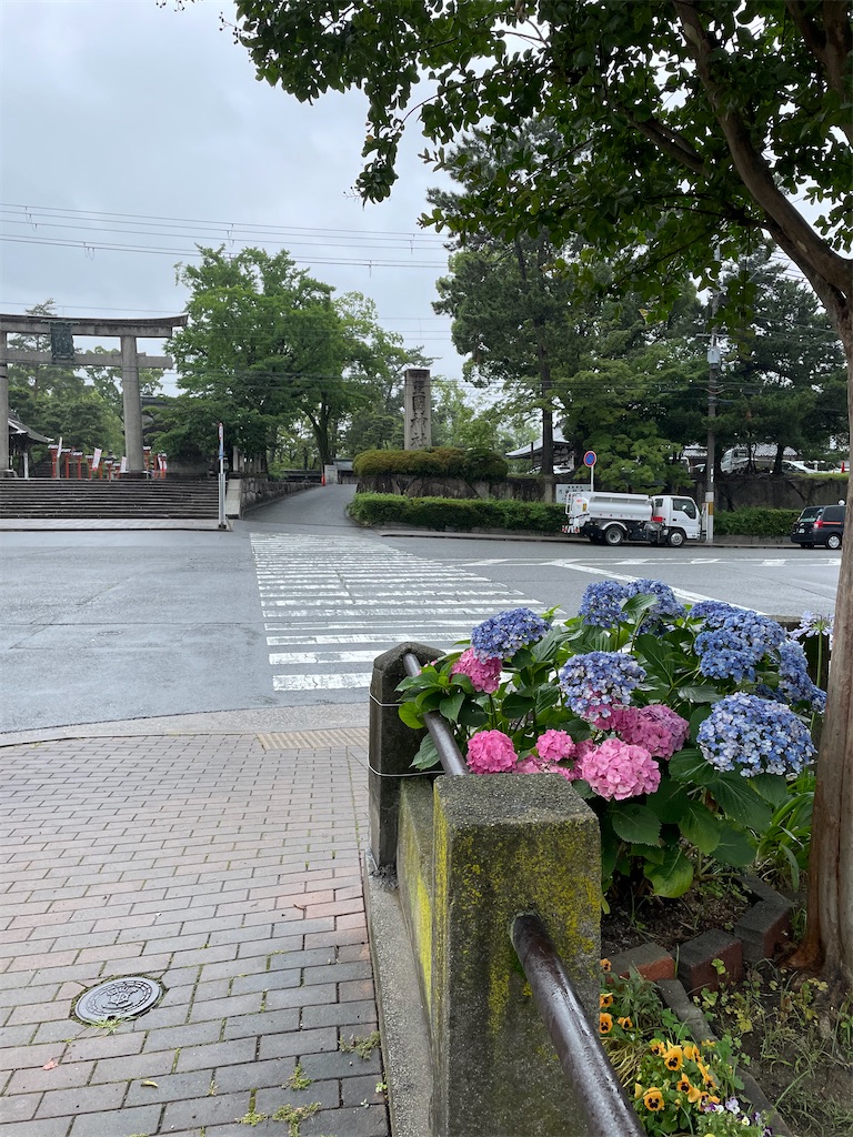 f:id:kamemochi:20210626043958j:image f:id:kamemochi:20210626043958j:image