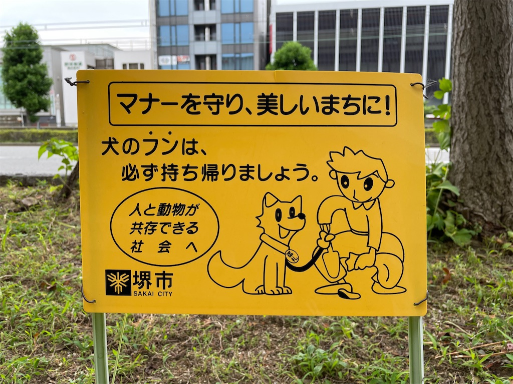 f:id:kamemochi:20210629141155j:image