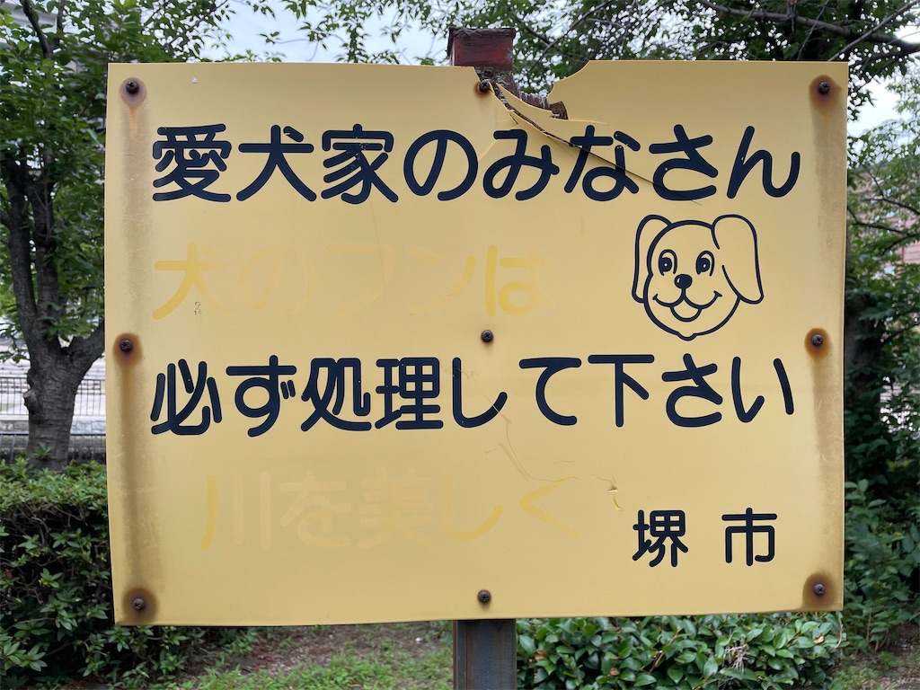 f:id:kamemochi:20210629141201j:image
