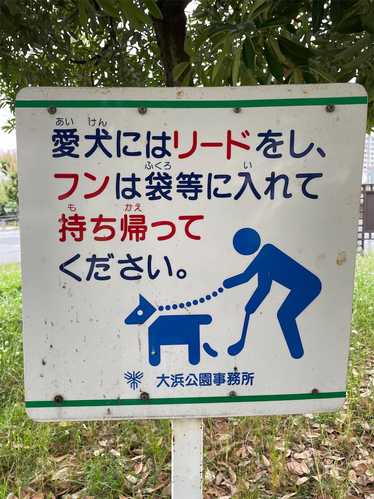 f:id:kamemochi:20210629141204j:image