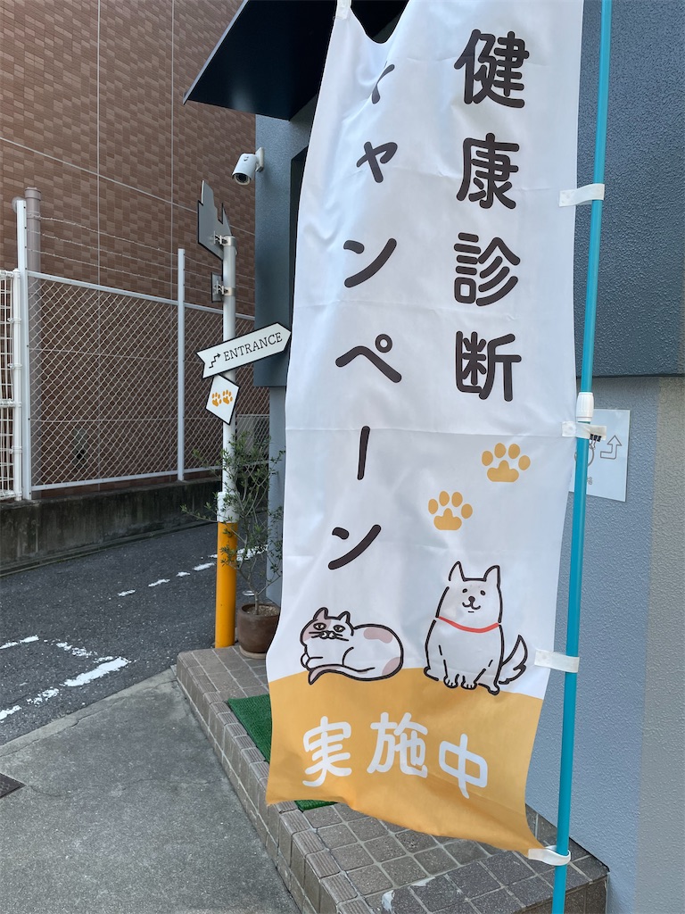 f:id:kamemochi:20210717190826j:image