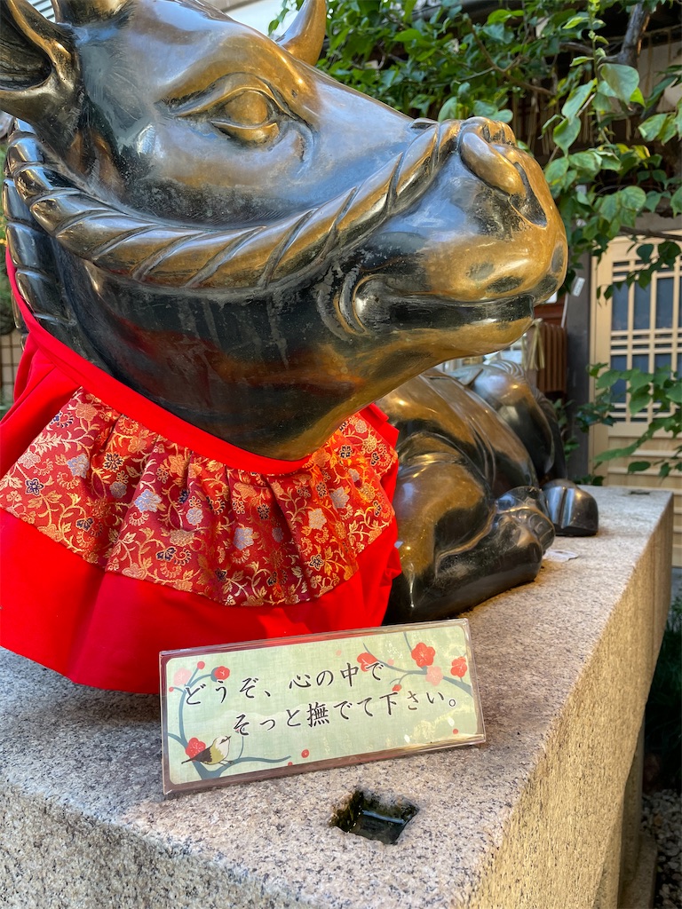 f:id:kamemochi:20210914105633j:image