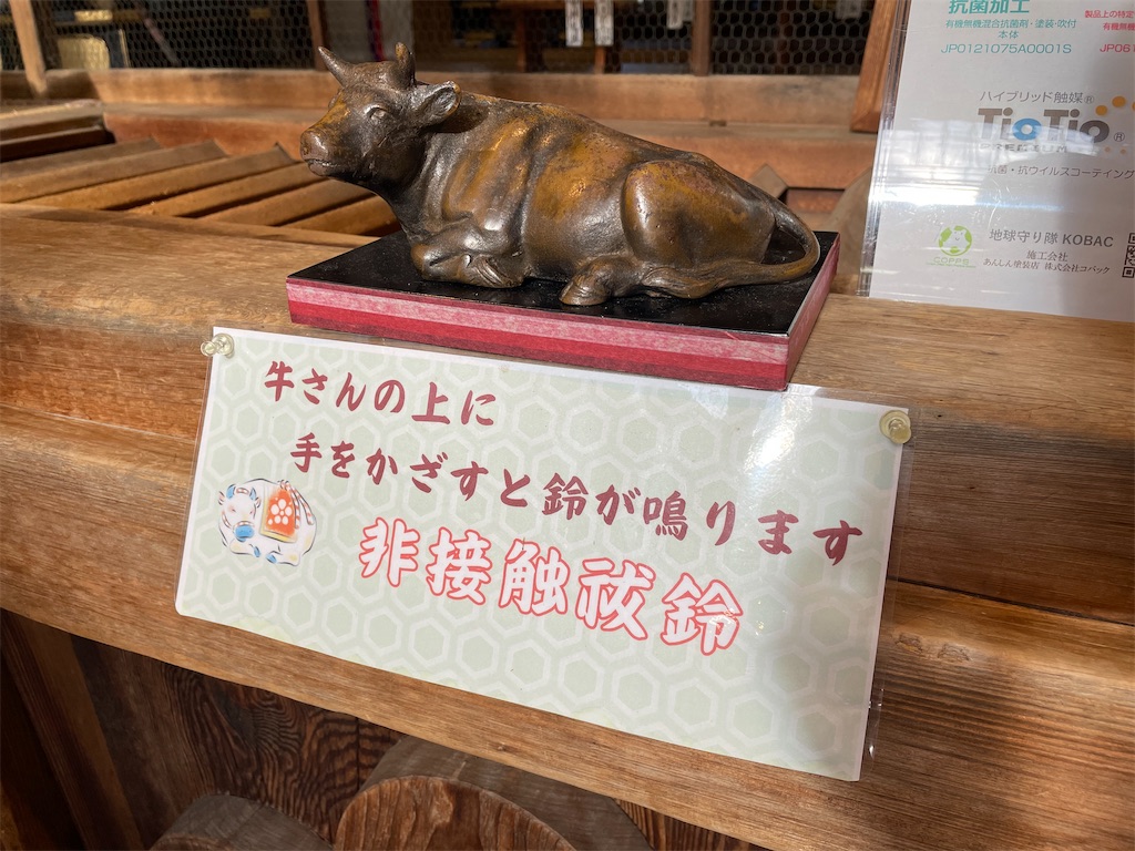 f:id:kamemochi:20210914105639j:image