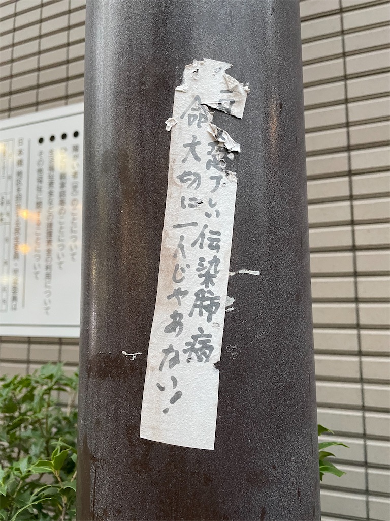 f:id:kamemochi:20210914105652j:image