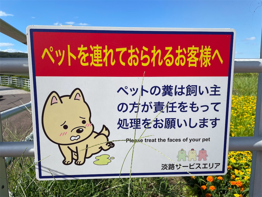 f:id:kamemochi:20210921222929j:image