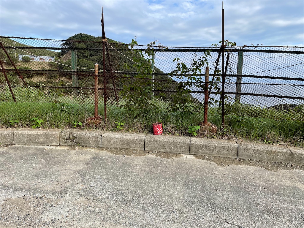 f:id:kamemochi:20210921223117j:image