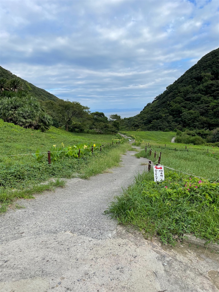 f:id:kamemochi:20210921223119j:image
