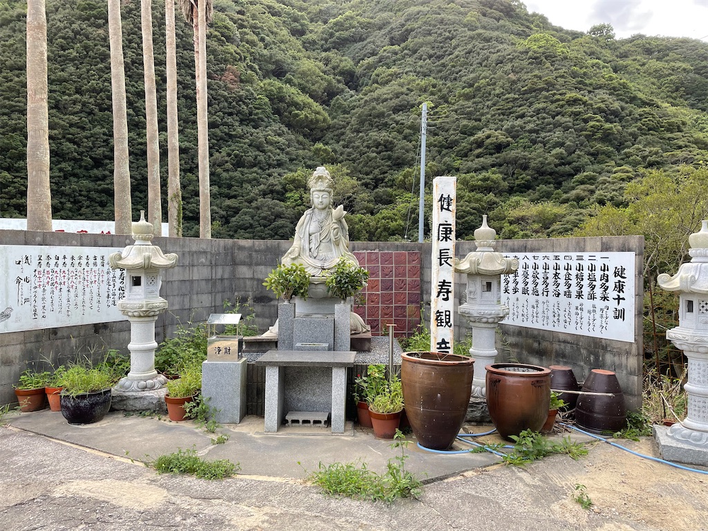 f:id:kamemochi:20210925113105j:image