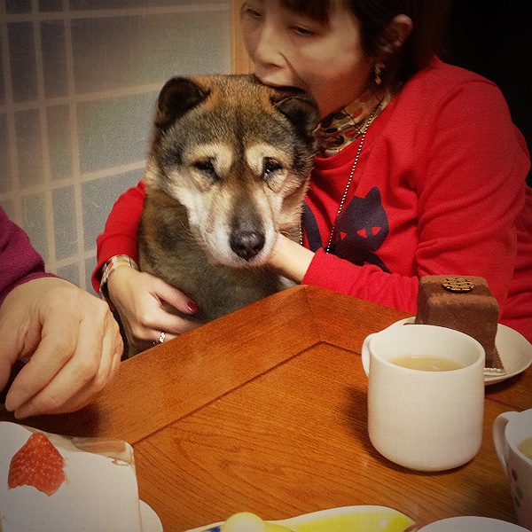 f:id:kamemochi:20210928014414j:plain