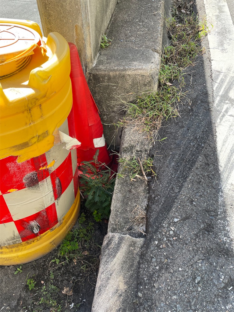 f:id:kamemochi:20211015152009j:image