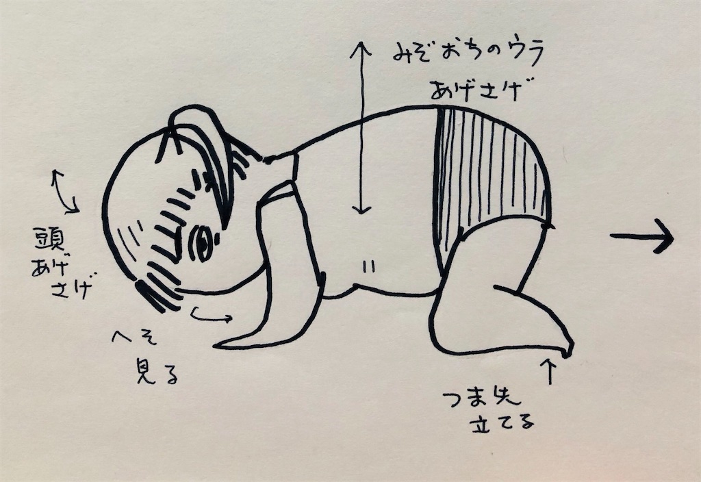 f:id:kamemochi:20211221174445j:image
