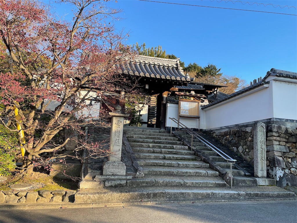 f:id:kamemochi:20211224105706j:image