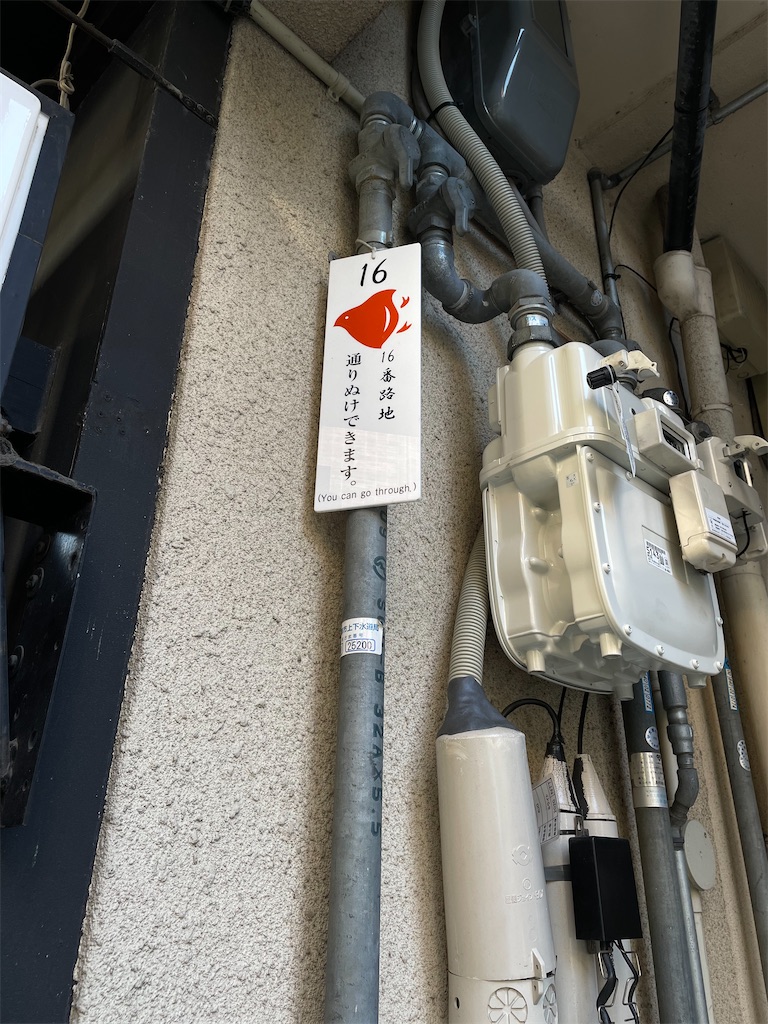 f:id:kamemochi:20220128231258j:image