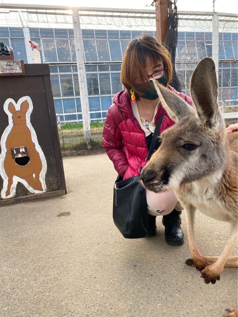 f:id:kamemochi:20220406124816j:image