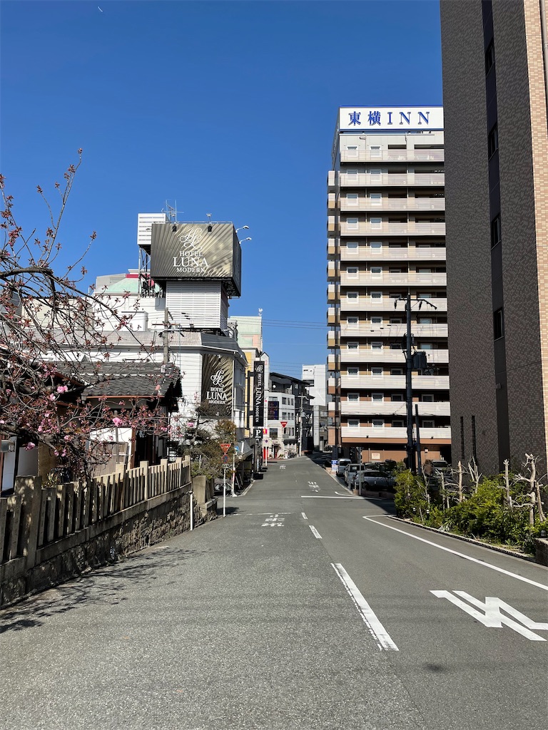 f:id:kamemochi:20220410164143j:image