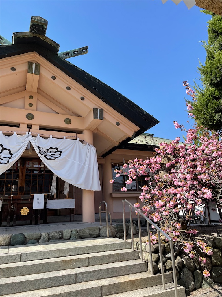 f:id:kamemochi:20220410164150j:image