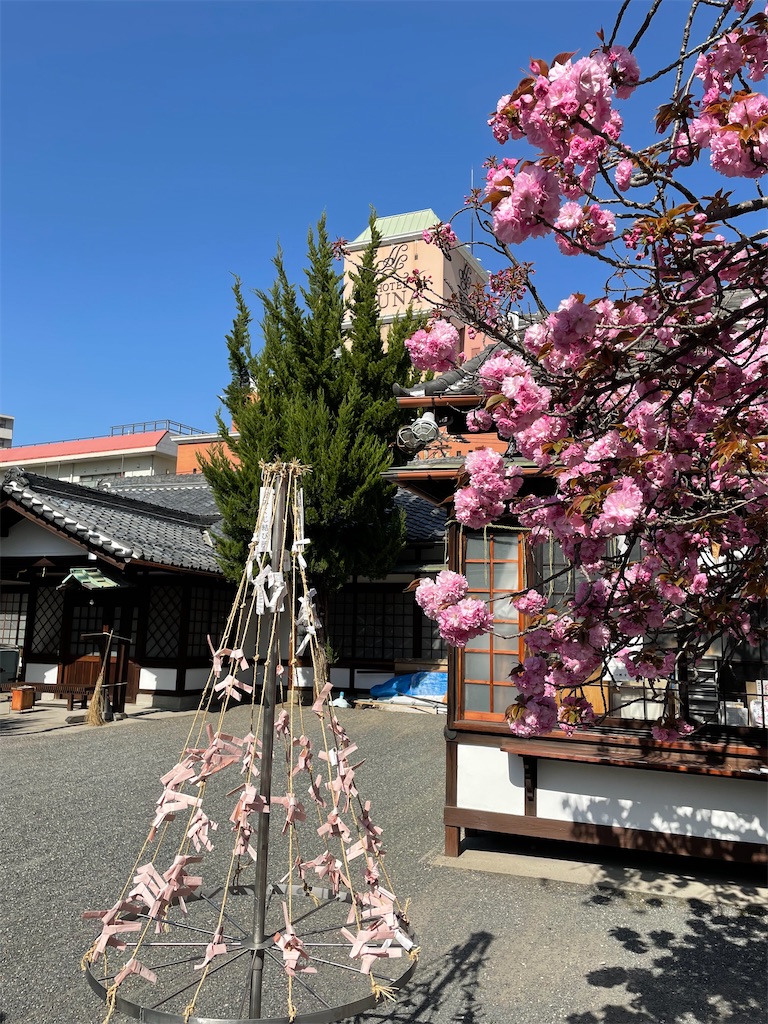 f:id:kamemochi:20220410164154j:image