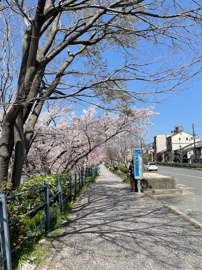 f:id:kamemochi:20220410165319j:image