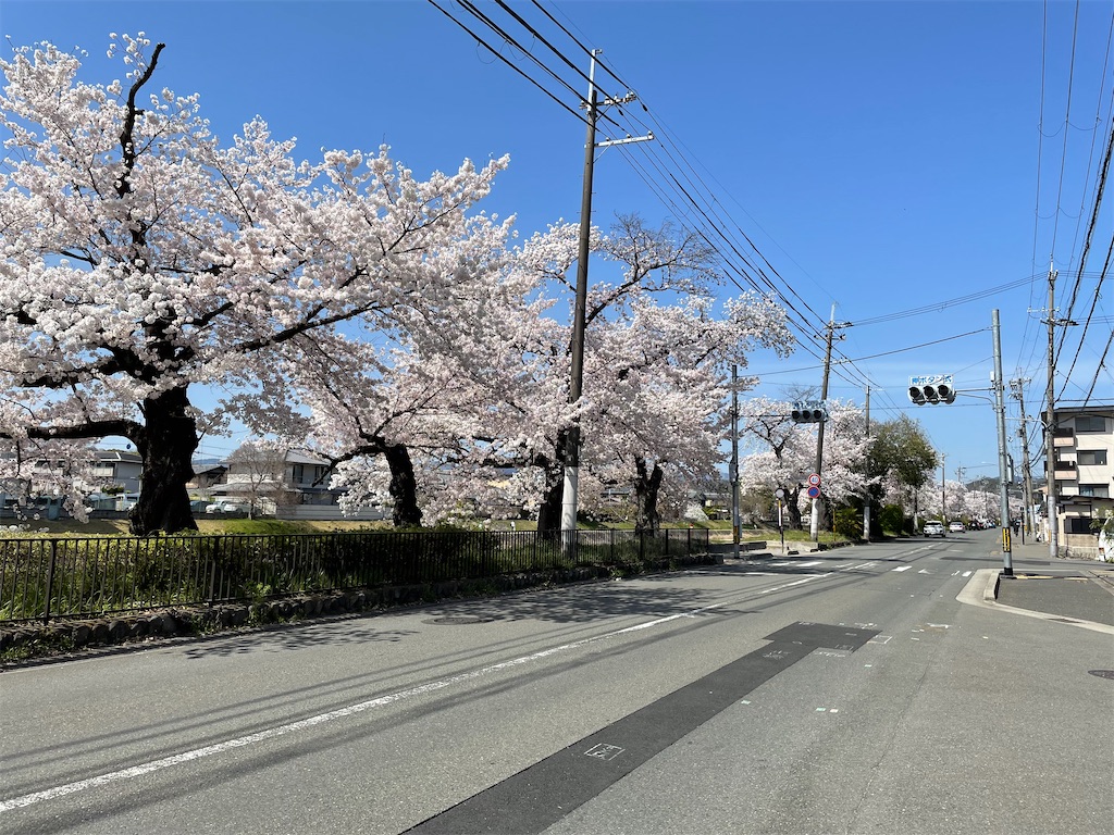f:id:kamemochi:20220410165342j:image