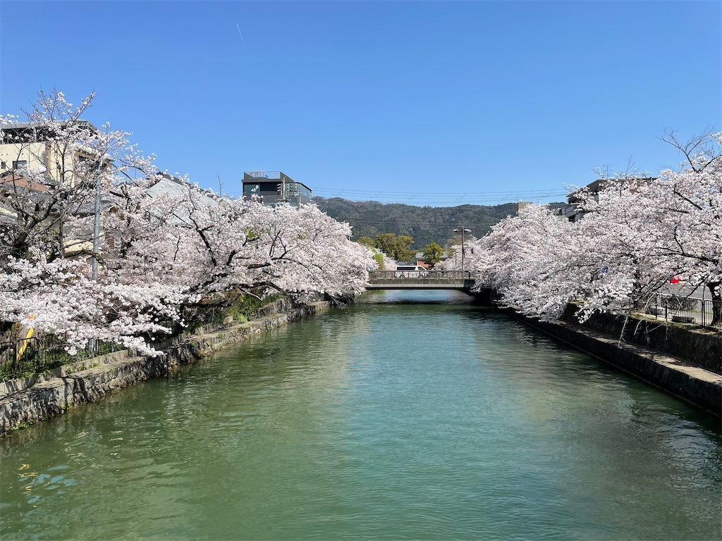 f:id:kamemochi:20220410165345j:image