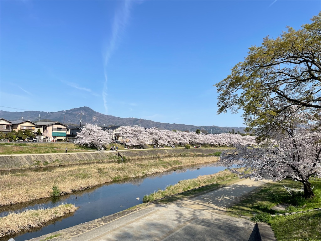 f:id:kamemochi:20220410165613j:image