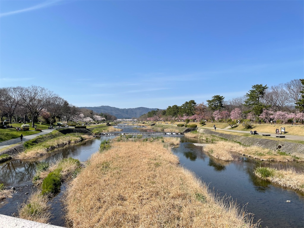 f:id:kamemochi:20220410165633j:image