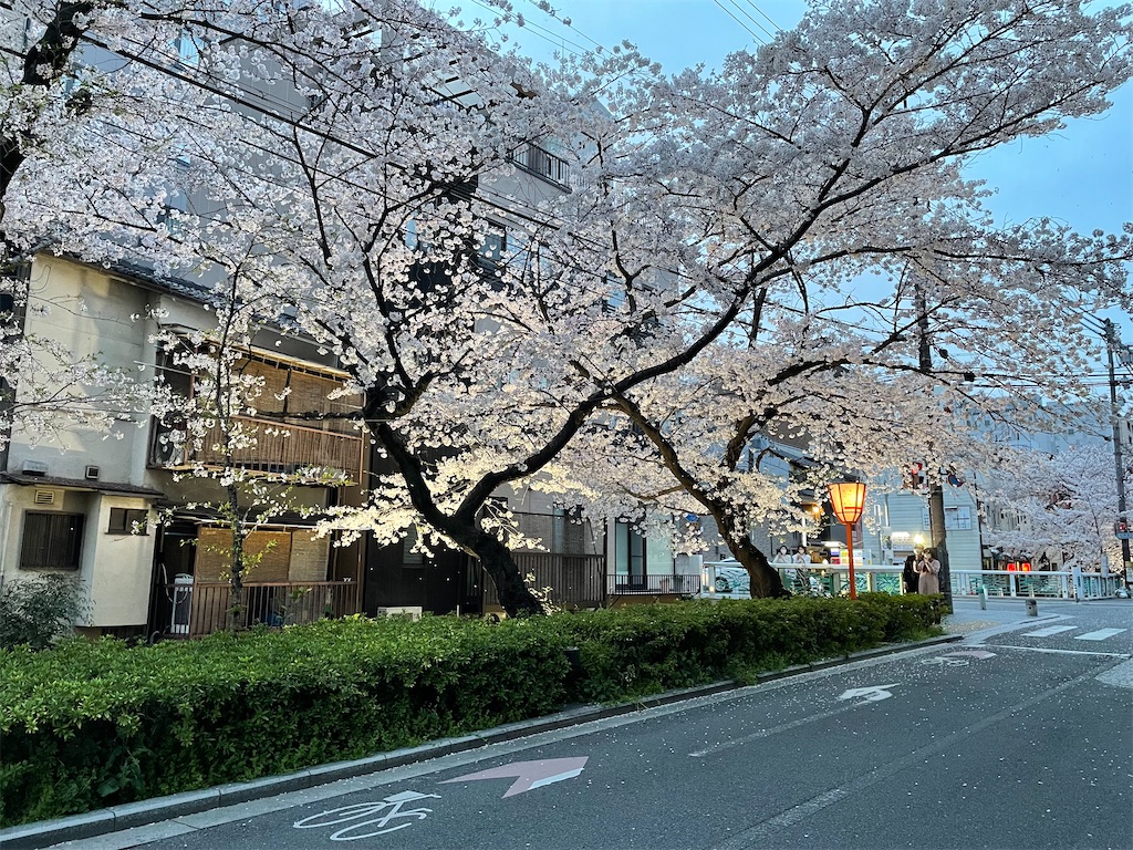 f:id:kamemochi:20220410165758j:image