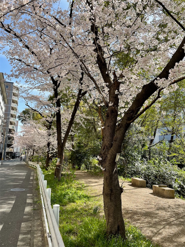 f:id:kamemochi:20220410165836j:image